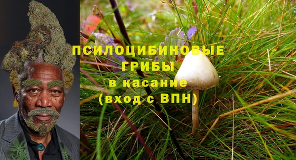 PSILOCYBIN Касимов