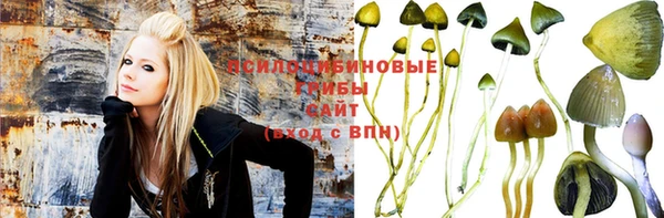 мдпв Фёдоровский