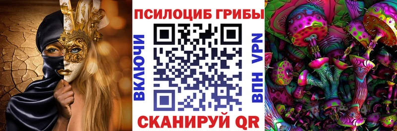 Псилоцибиновые грибы прущие грибы  Купить где  Лыткарино 